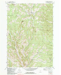 Washington 1981 topographic map thumbnail