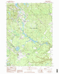 Alfred 1983 topographic map thumbnail