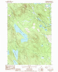 Alligator Lake 1987 topographic map thumbnail
