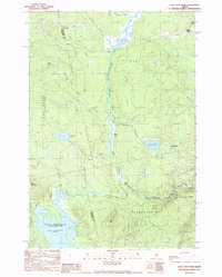 Bald Mtn Pond topographic map thumbnail