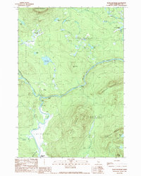 Basin Mountain 1989 topographic map thumbnail