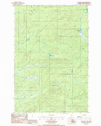 Big Brook Lake 1986 topographic map thumbnail