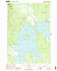 Big Lake 1990 topographic map thumbnail