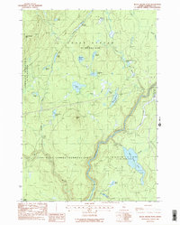 Black Brook Pond 1988 topographic map thumbnail