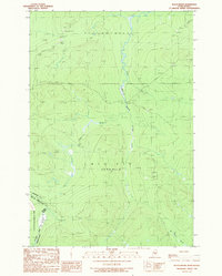 Black Brook 1989 topographic map thumbnail