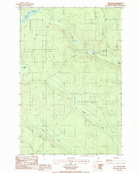 Blue Brook 1986 topographic map thumbnail