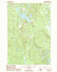 Bog Lake 1990 topographic map thumbnail