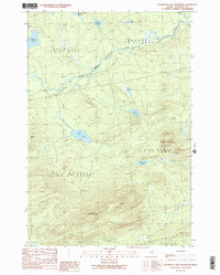Boundary Bald Mountain 1989 topographic map thumbnail