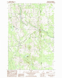 Bridgewater 1984 topographic map thumbnail
