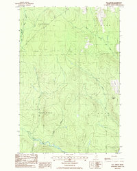 Bull Brook 1986 topographic map thumbnail