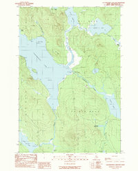 Caucomgomoc Lake East 1989 topographic map thumbnail