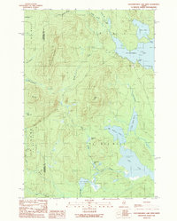 Caucomgomoc Lake West 1989 topographic map thumbnail