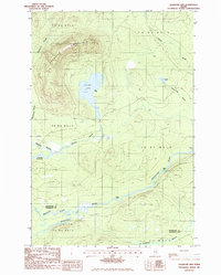 Chandler Mtn topographic map thumbnail