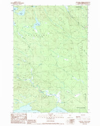 Churchill Stream 1989 topographic map thumbnail