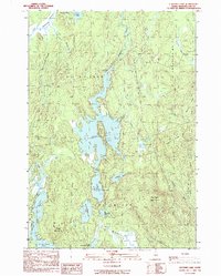 Clifford Lake 1990 topographic map thumbnail