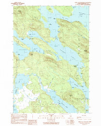 Dark Cove Mountain 1990 topographic map thumbnail