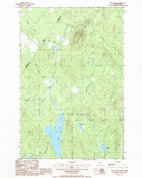 Depot Lake 1986 topographic map thumbnail