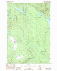Dimmick Mountain 1989 topographic map thumbnail