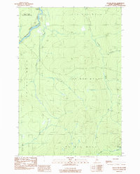 Doucie Brook 1989 topographic map thumbnail