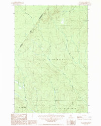 East Lake SE 1987 topographic map thumbnail