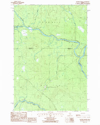 Eastman Brook 1986 topographic map thumbnail