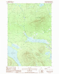 Farrar Mountain 1988 topographic map thumbnail