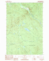 Foley Pond 1989 topographic map thumbnail
