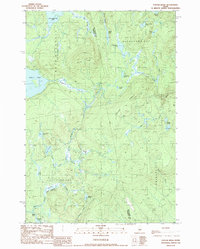Foster Ridge 1989 topographic map thumbnail