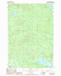 Heald Pond 1989 topographic map thumbnail