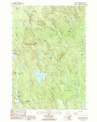 Hopkins Pond 1988 topographic map thumbnail