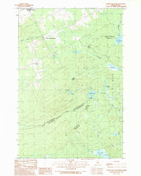 Hurricane Pond 1989 topographic map preview