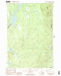 Indian Pond South 1988 topographic map thumbnail