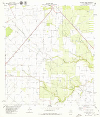Bullshead Creek 1979 topographic map preview