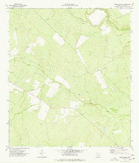 Burns Ranch 1974 topographic map thumbnail