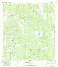 Burrito Tank 1980 topographic map thumbnail