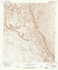 Burro Canyon 1973 topographic map thumbnail