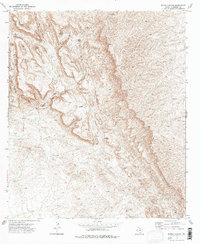 Burro Canyon 1973 topographic map thumbnail