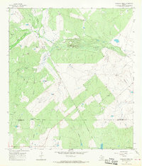 Caballos Creek 1965 topographic map thumbnail