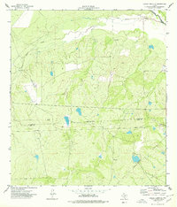 Caiman Creek SE 1974 topographic map thumbnail