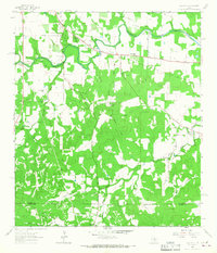 Cain City 1963 topographic map thumbnail