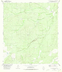 Callaghan Ranch SE 1980 topographic map thumbnail