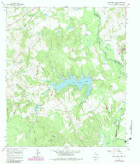 Camp Creek Lake 1965 topographic map thumbnail