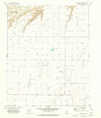 Capps Switch NW 1974 topographic map thumbnail