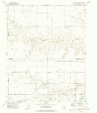 Capps Switch SE 1974 topographic map thumbnail