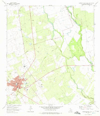 Carrizo Springs East 1972 topographic map thumbnail