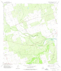 Carrizo Springs NW 1972 topographic map thumbnail