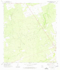 Carrizo Springs West 1972 topographic map thumbnail