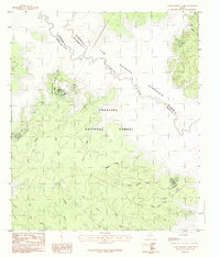 Cassells-Boykin Park 1984 topographic map thumbnail