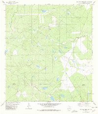 Agua Azul Creek West 1980 topographic map thumbnail