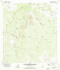 Agua Nueva NW 1972 topographic map thumbnail
